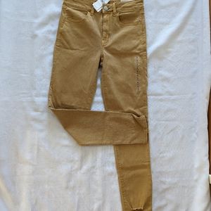 American Eagle Next Level Stretch High Rise Jegging - 8L